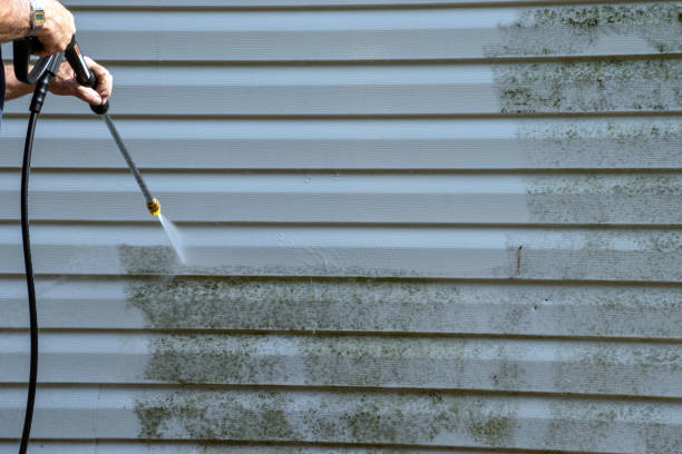 Best Residential Junk Removal  in Bridgeport, WV